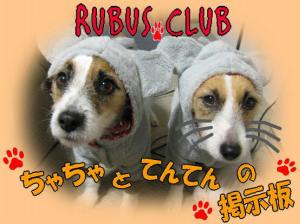 RUBUS CLUB 掲示板